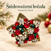 Štědrovečerní hvězda – vánoční brož s názvem